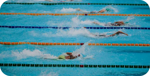 Natation image